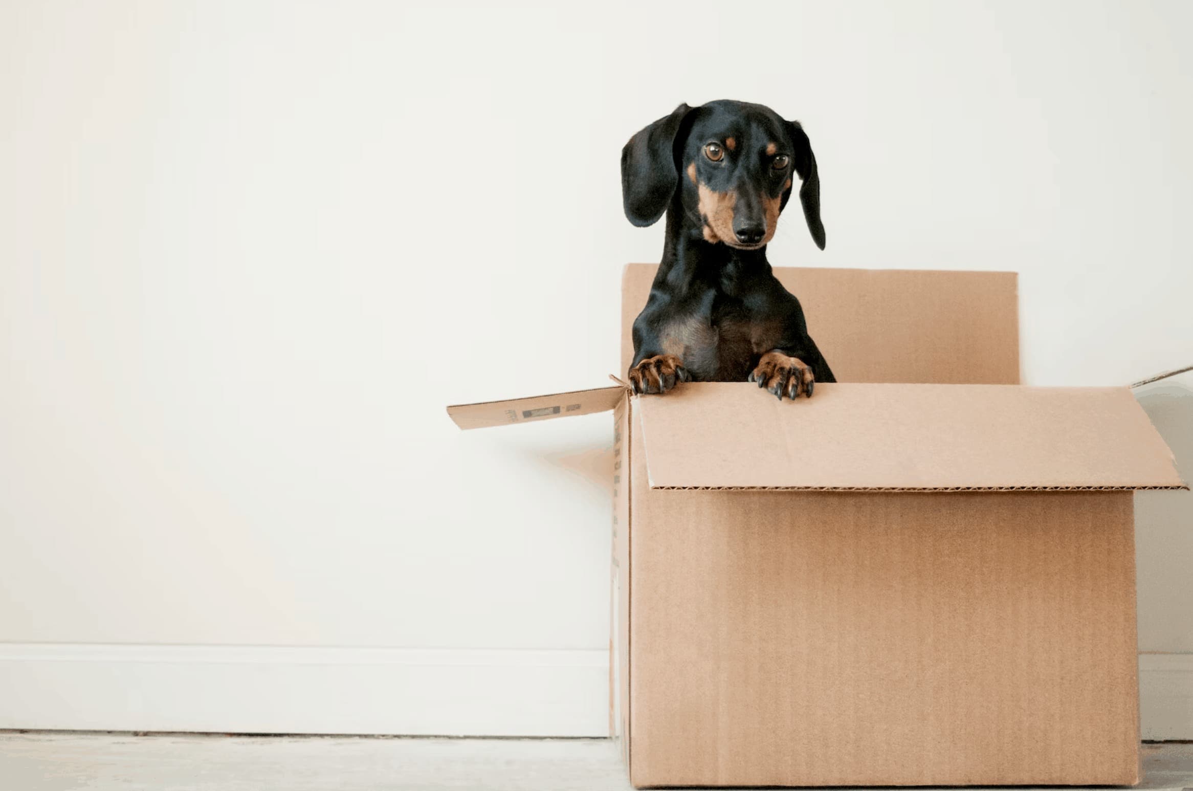 Packing Strategies for Moving